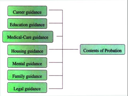 Probation Affairs flow chart